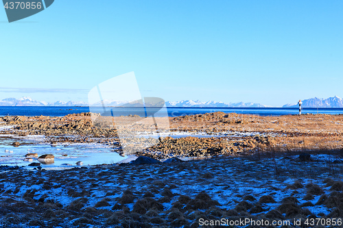 Image of icy coastal landscape