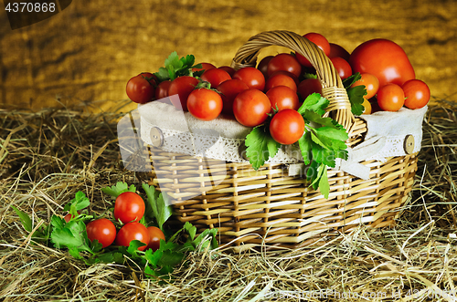 Image of Tomatoes