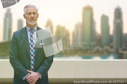 Image of Senior businessman in front of the big city