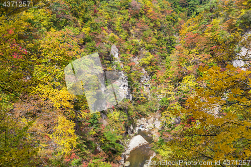 Image of Naruko canyon with autumn foliage