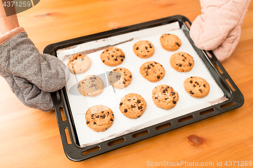 Image of Delicious Fresh Chocolate Chip Cookies