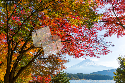 Image of Kawaguchi Lake in the autumn season