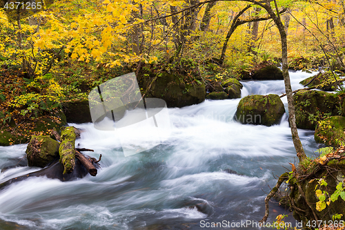 Image of Oirase Mountain Stream