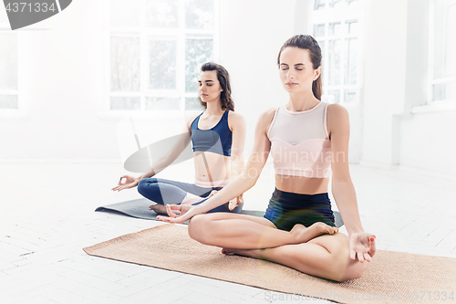 Image of Studio shot of a young women doing yoga exercises on white background