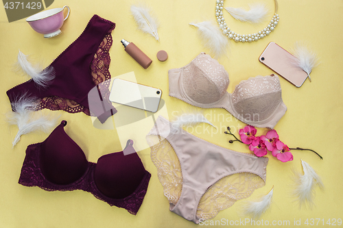 Image of modern female lingerie