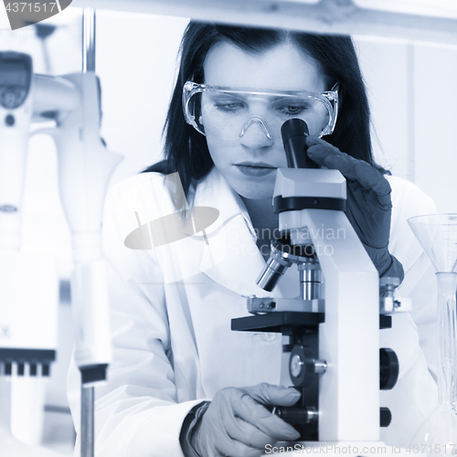 Image of Young chemist in the laboratory.