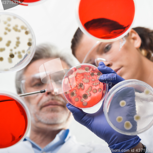 Image of Life scientists researching in the health care laboratory.