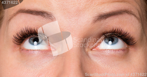 Image of Face woman with eyes and eyelashes