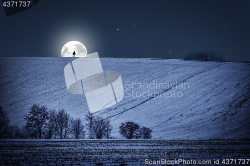 Image of Winter landscape with moon at night