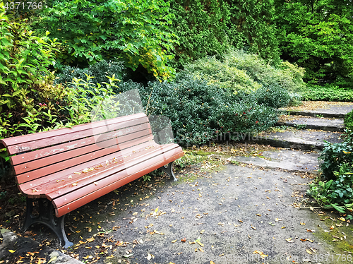 Image of Wooden bench in a garden in early autumn