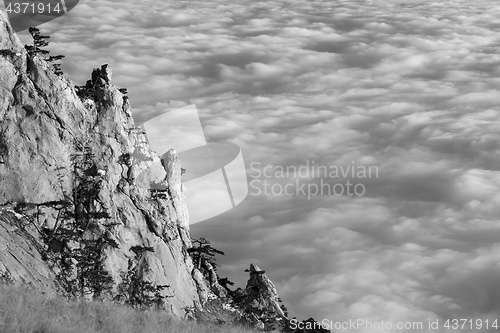 Image of Black and white view of sunlit cliffs and sea in clouds