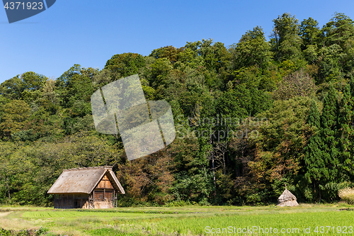 Image of Shirakawago old village