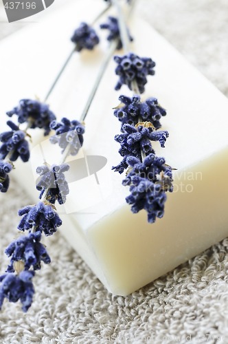 Image of Lavender soap