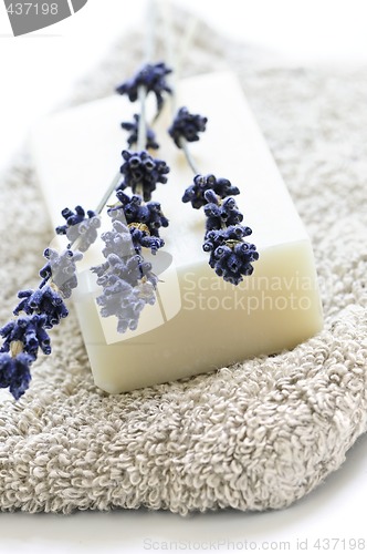 Image of Lavender soap