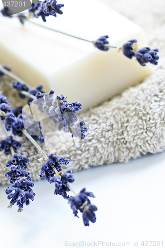 Image of Lavender soap