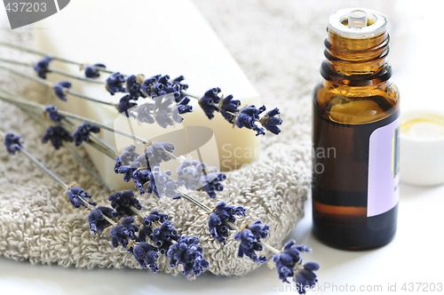 Image of Lavender soap