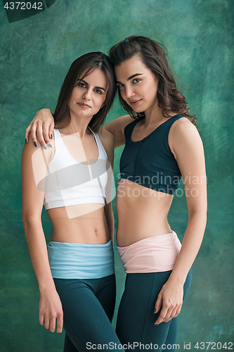 Image of Two young sporty women posing at gym.