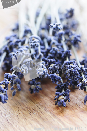 Image of Dried lavender