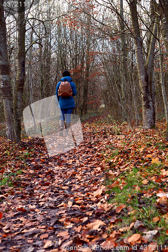 Image of Woman walking through woodland alone, dressed warmly