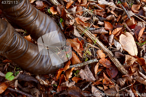 Image of Woman\'s brown leather boots among autumn leaves and dead wood