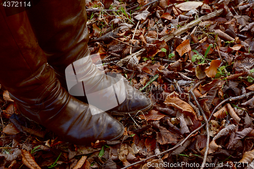 Image of Woman stands in brown leather boots in an autumnal wood