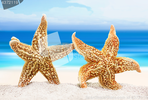 Image of Two sea stars on the background of the sea shore. The concept of a romantic trip or marriage proposal