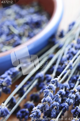 Image of Dried lavender