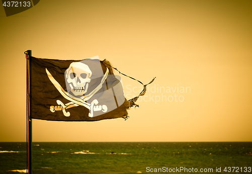 Image of Pirate flag