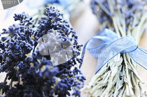Image of Dried lavender