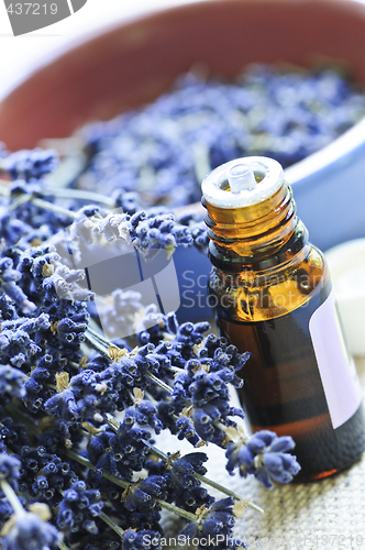Image of Lavender herb and essential oil