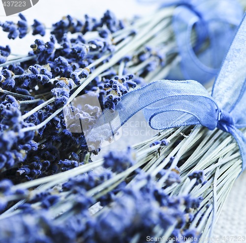 Image of Dried lavender