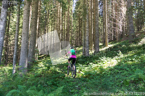 Image of Active sporty woman riding mountain bike on forest trail .