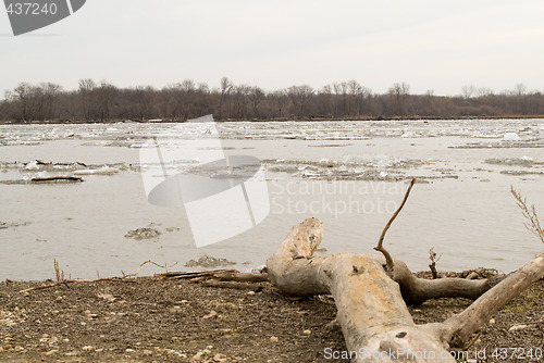 Image of Flowing River