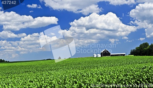 Image of Rural landscape