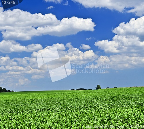 Image of Rural landscape