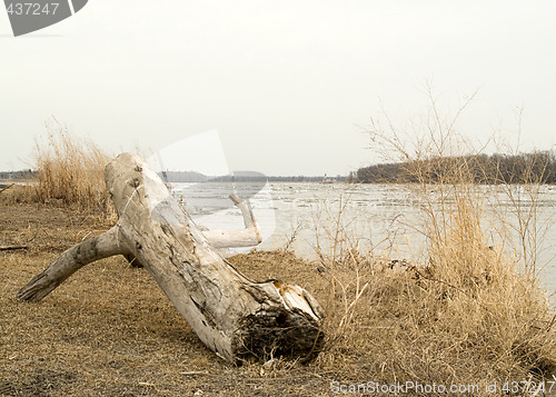 Image of Flooding River