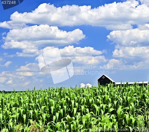 Image of Rural landscape