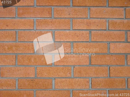 Image of Brick Wall