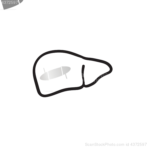 Image of Liver sketch icon.