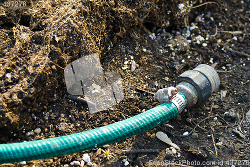 Image of Garden Hose