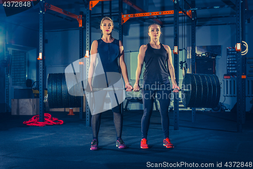 Image of Fit young women lifting barbells and working out in a gym