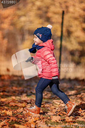 Image of The little baby girl playing in autumn leaves