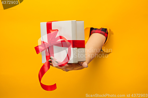 Image of close-up of female hand holding a present through a torn paper, isolated