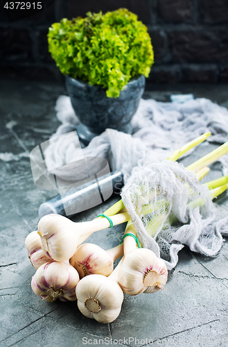 Image of garlic