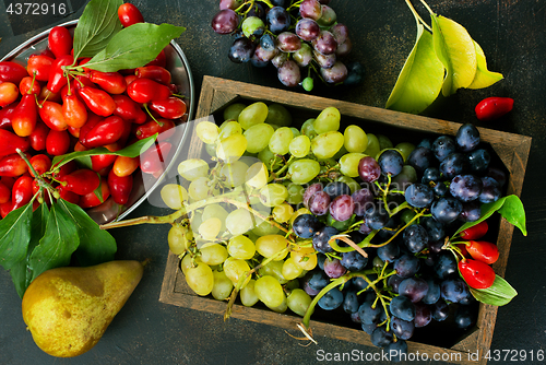 Image of autumn fruits