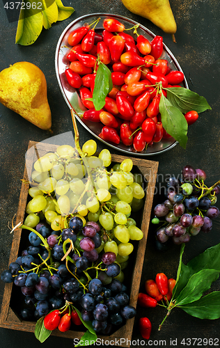 Image of autumn fruits