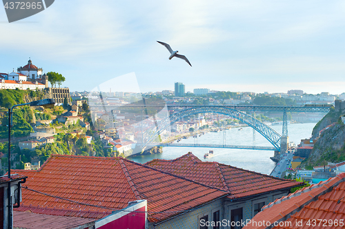 Image of Seagull flying over Porto, Portugal