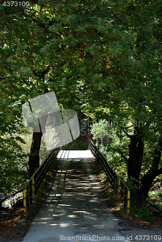 Image of Country Road