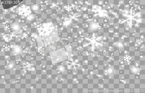 Image of Falling snow on a transparent background.