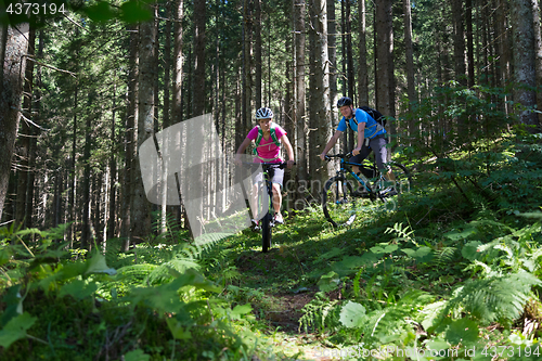 Image of Active sporty couple riding mountain bikes on forest trail .